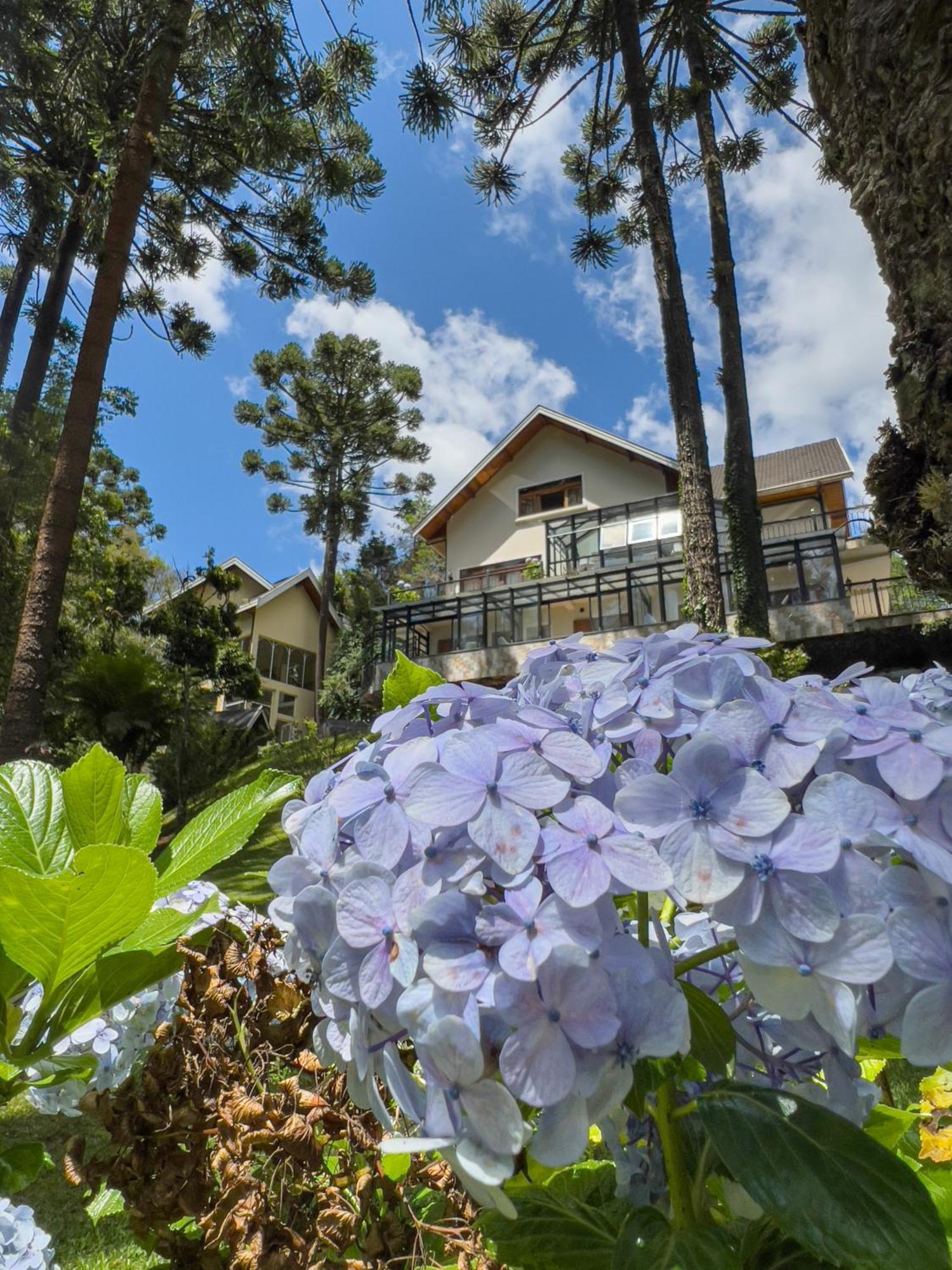 Araucaria Lodge Campos do Jordão Esterno foto